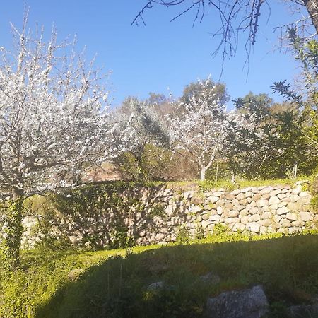 Quinta Dos Carvalhos The Wine House Farm In Center Of Lamego - Capital Of The Douro Villa Eksteriør billede