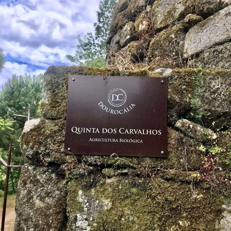 Quinta Dos Carvalhos The Wine House Farm In Center Of Lamego - Capital Of The Douro Villa Eksteriør billede