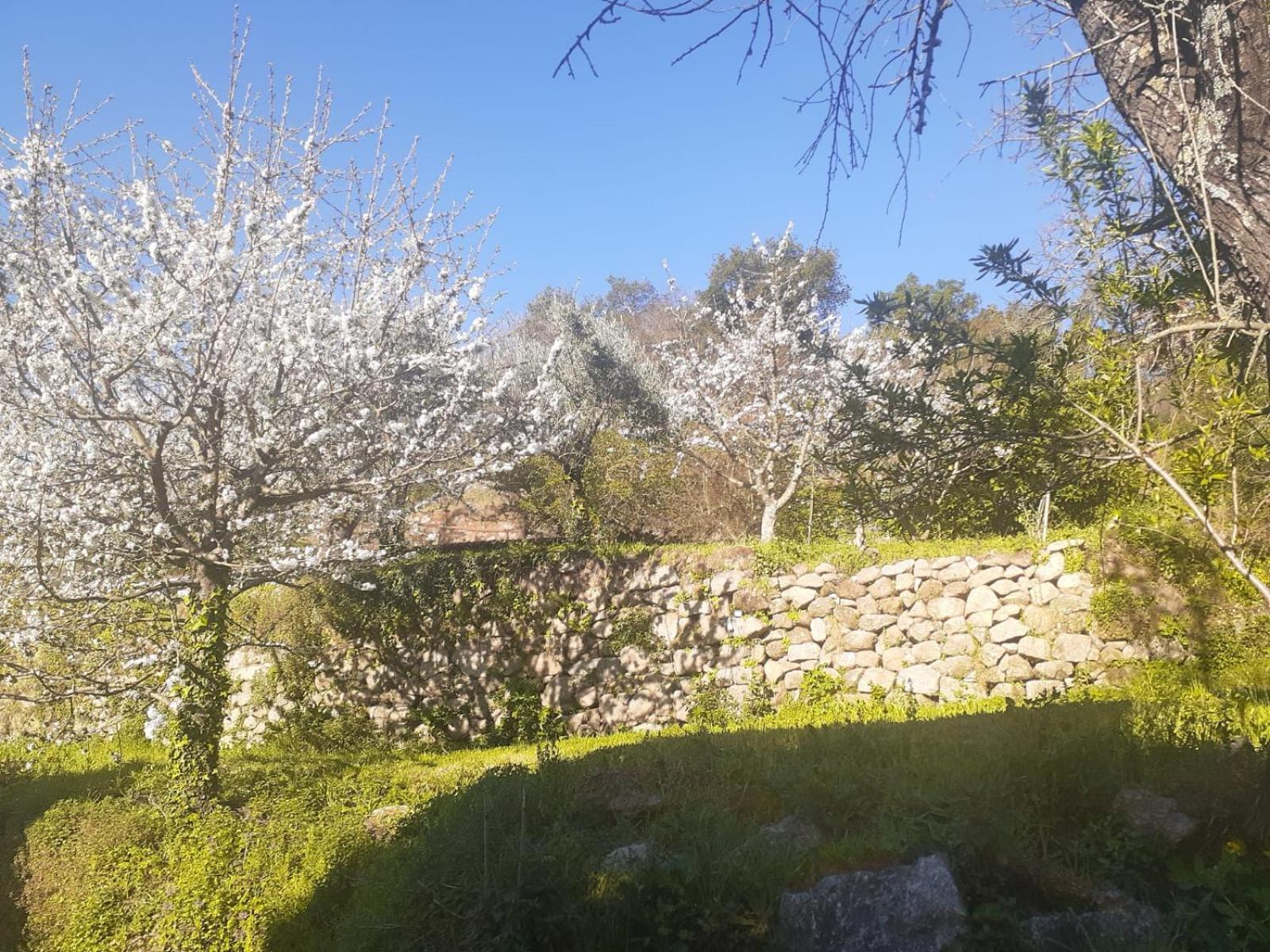 Quinta Dos Carvalhos The Wine House Farm In Center Of Lamego - Capital Of The Douro Villa Eksteriør billede